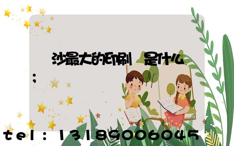 長沙最大的印刷廠是什么廠